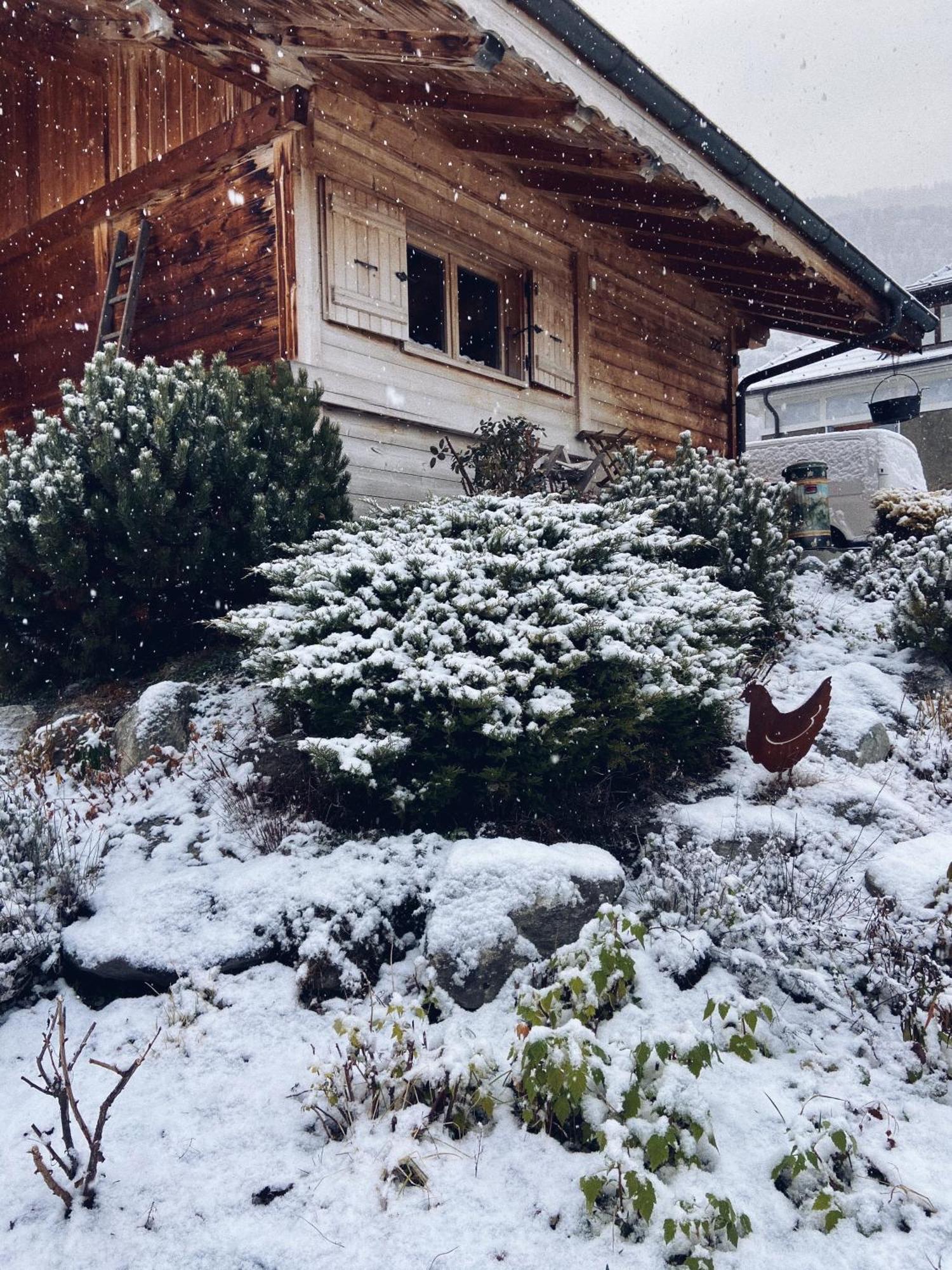 Grand Chalet A La Montagne Bourg-Saint-Maurice Eksteriør billede